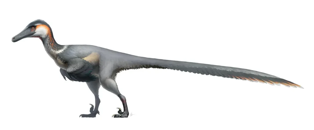 The Story of Austroraptor, South America's Forgotten Hunter