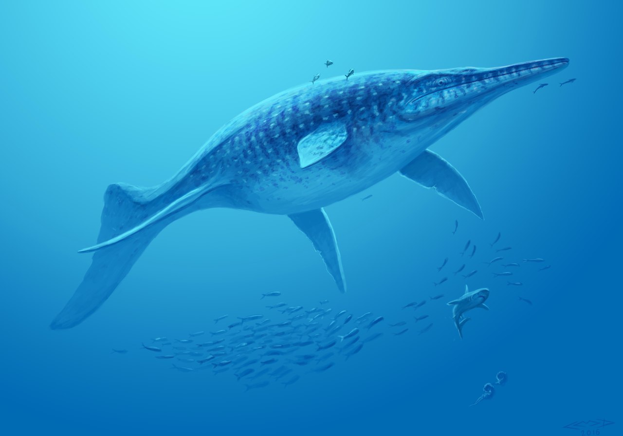 The Forgotten Leviathan of Nevada’s Ancient Sea