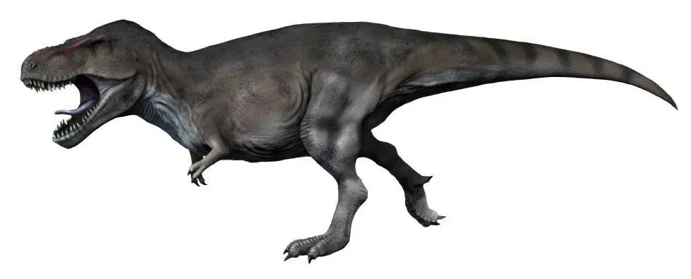 12 T-Rex Behaviours Scientists Discovered That No Documentary Has Caught Up With Yet