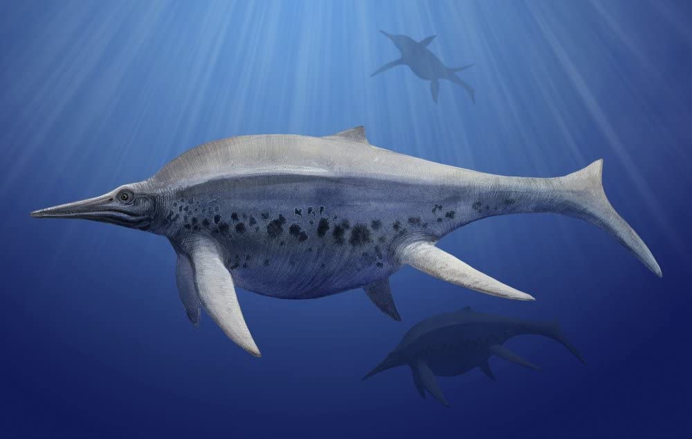 Bigger Than a T. rex, but Still in the Dinosaur’s Shadow 