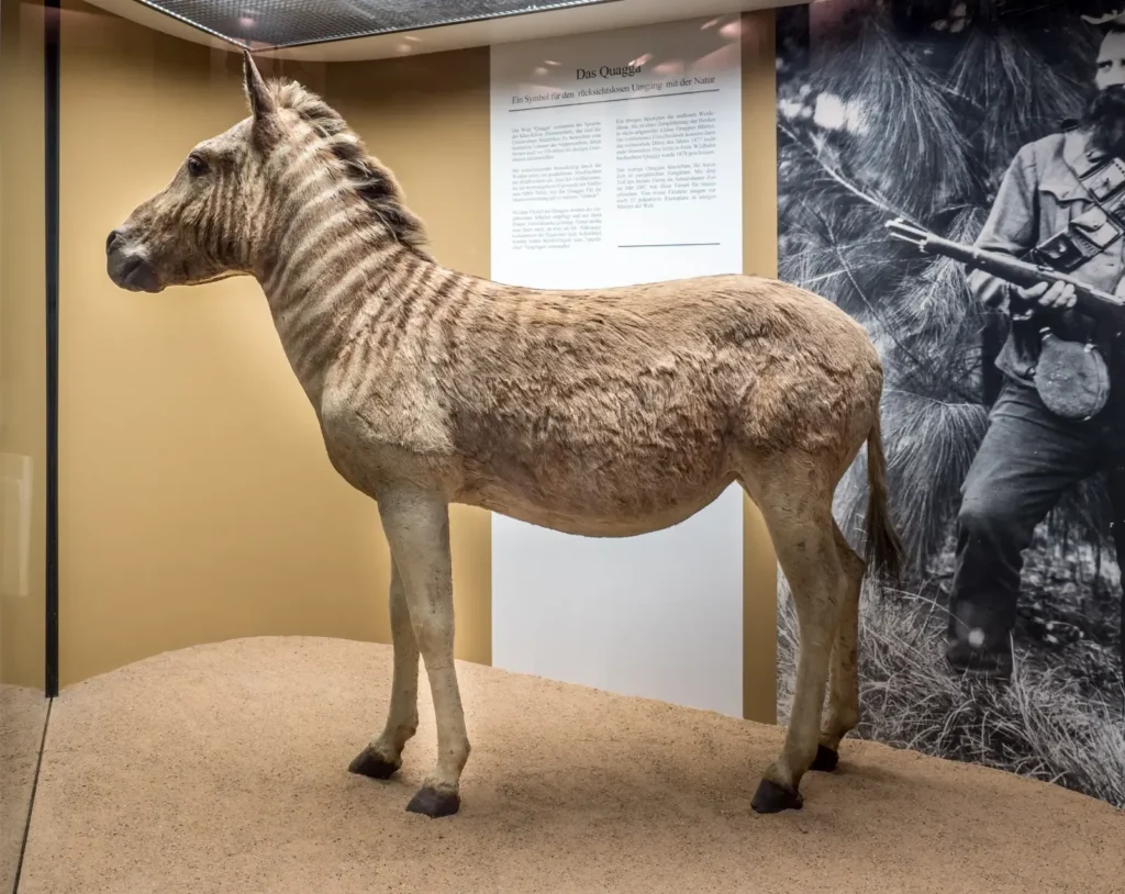10 Extinct Animals Our Ancestors Saw & 10 That Vanished Before Our Time