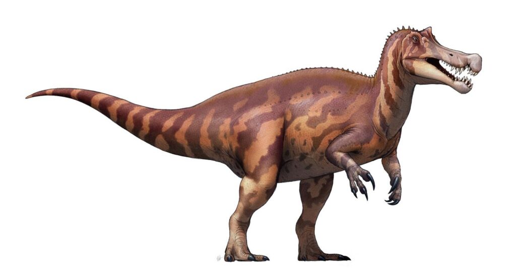 8 Fascinating Facts About Irritator, the Dinosaur Named After Scientists' Frustration