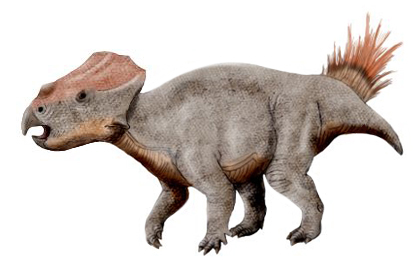#4 - Horned Dinosaurs Lived in Europe Too