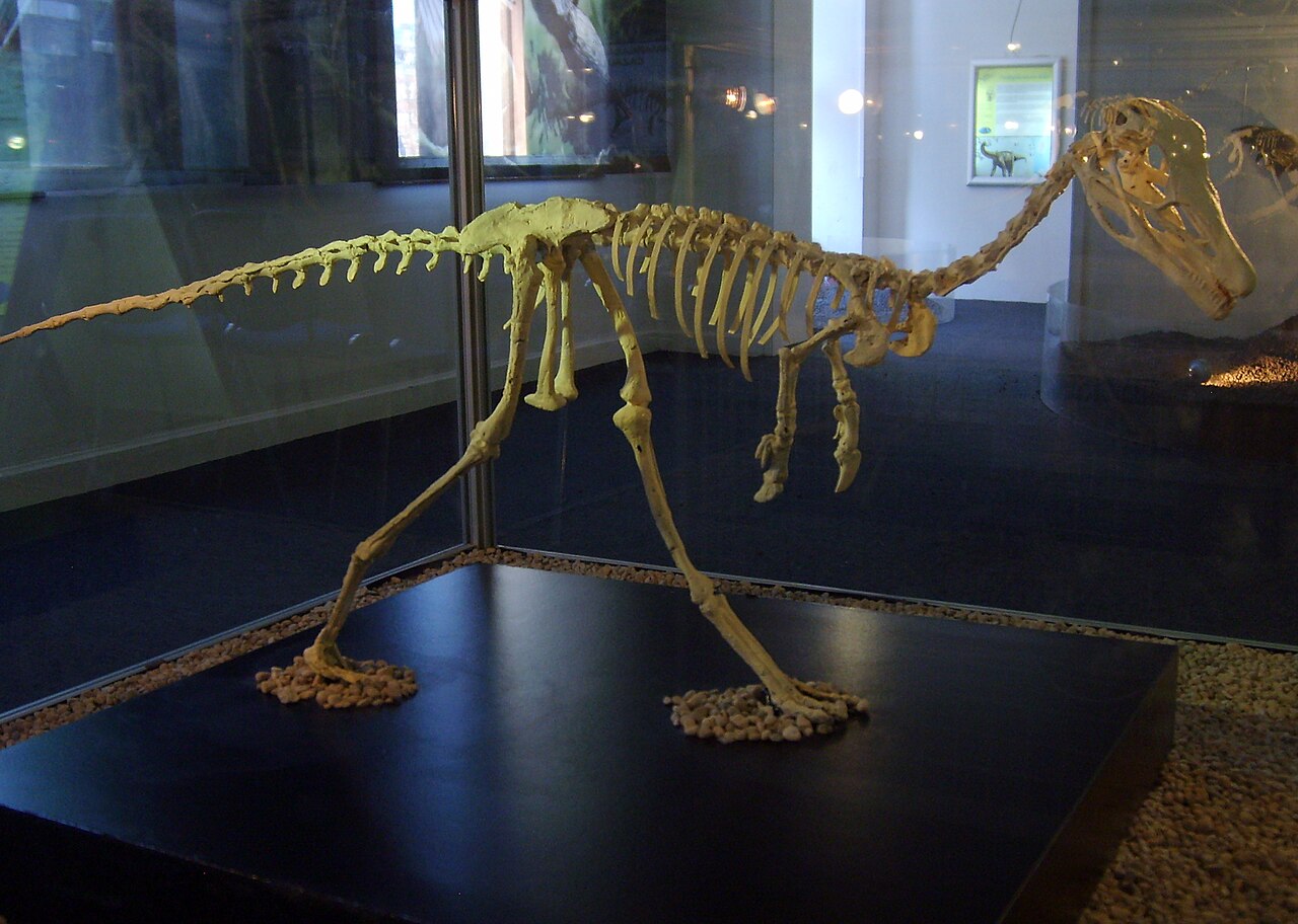 #9 - Patagonia Finally Gave Alvarezsaurs a Complete Origin Story