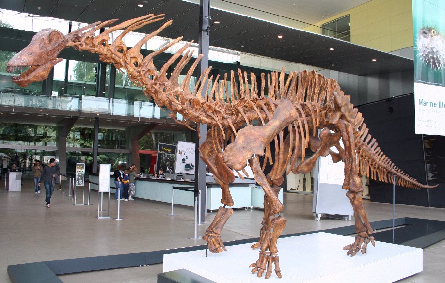 What Amargasaurus Teaches Us About Evolution’s Wild Experiments