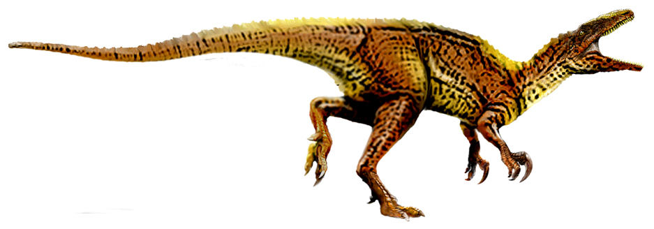 #1 - Australovenator wintonensis: Australia's Perfect Killing Machine