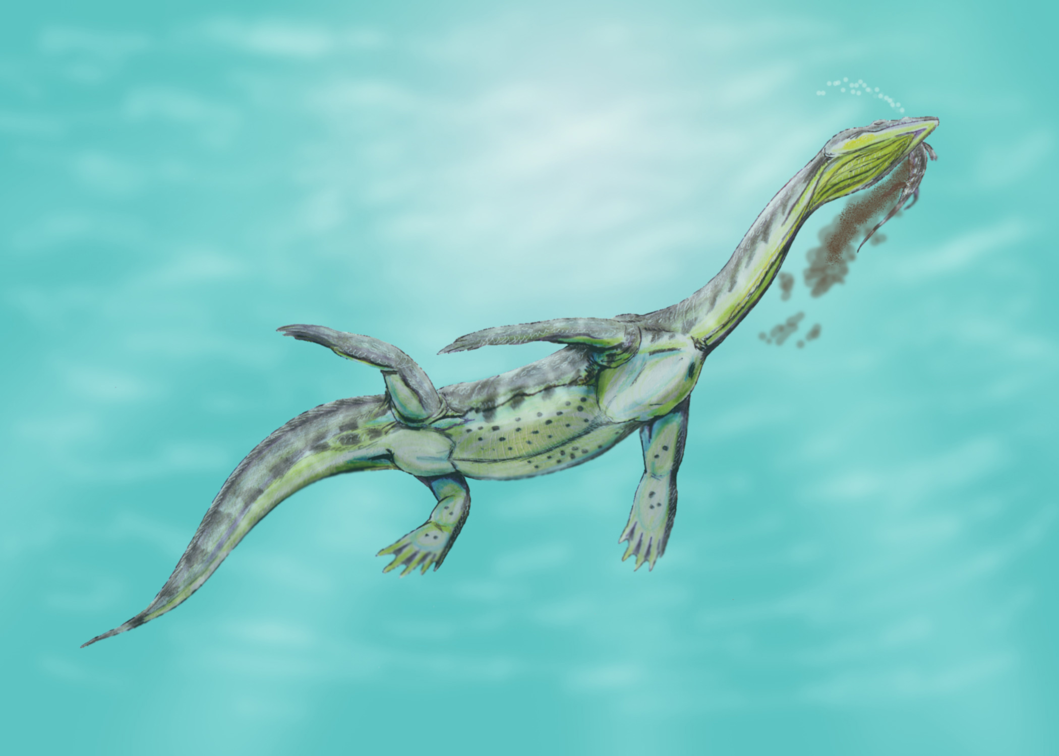 Not a Dinosaur, But Just as Revealing