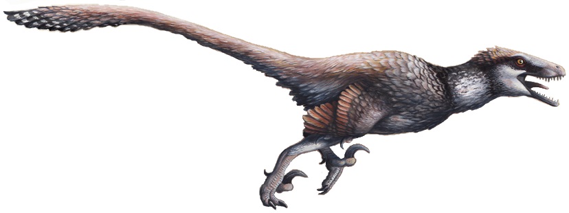 Scorpio – Dakotaraptor: The Intense Shadow Hunter