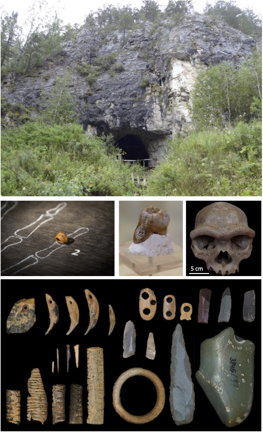 Who Were the Mysterious Denisovans, Really?