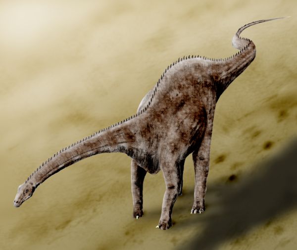 Growing Up Diplodocus: From Tiny Hatchling to Titan