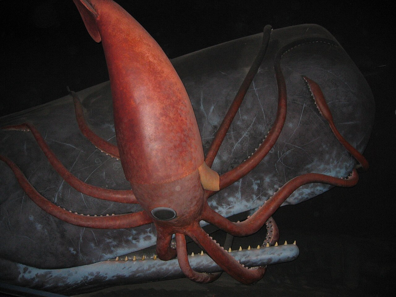 5. Gigantic Invertebrates Were Often Scarier Than The Vertebrates 
