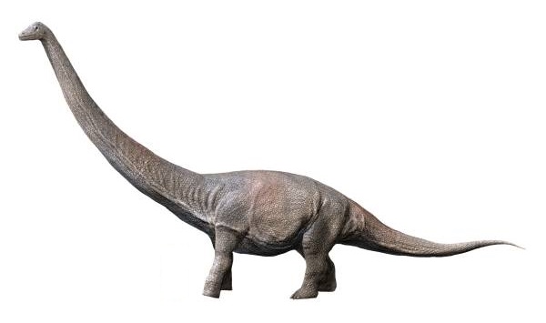 Dreadnoughtus: The Giant That Came With a Warning Label