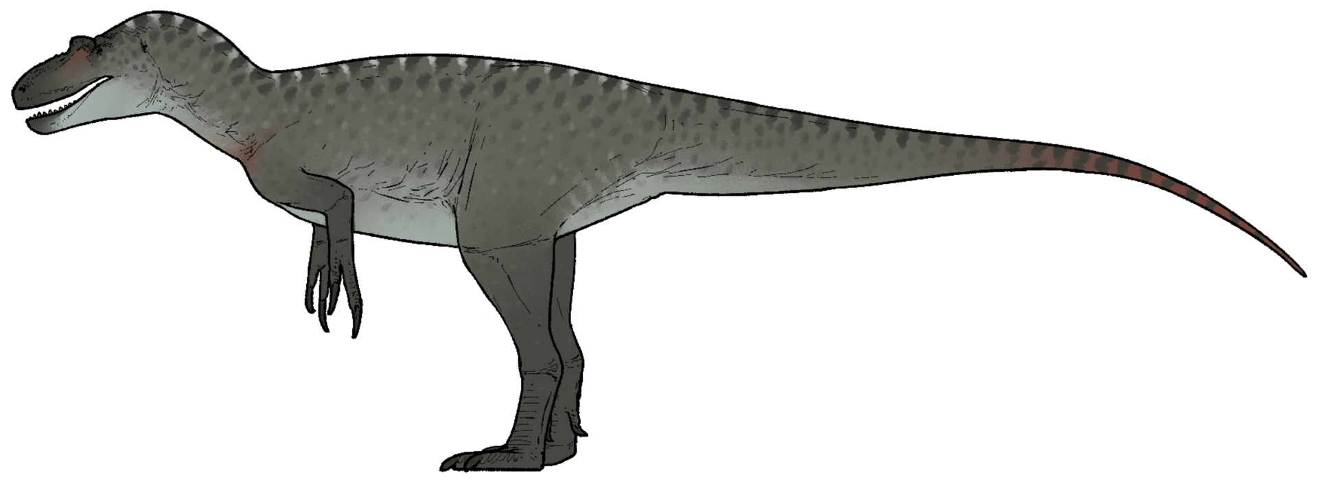 #7 - Dryptosaurus aquilunguis: The Eastern Eagle-Claw