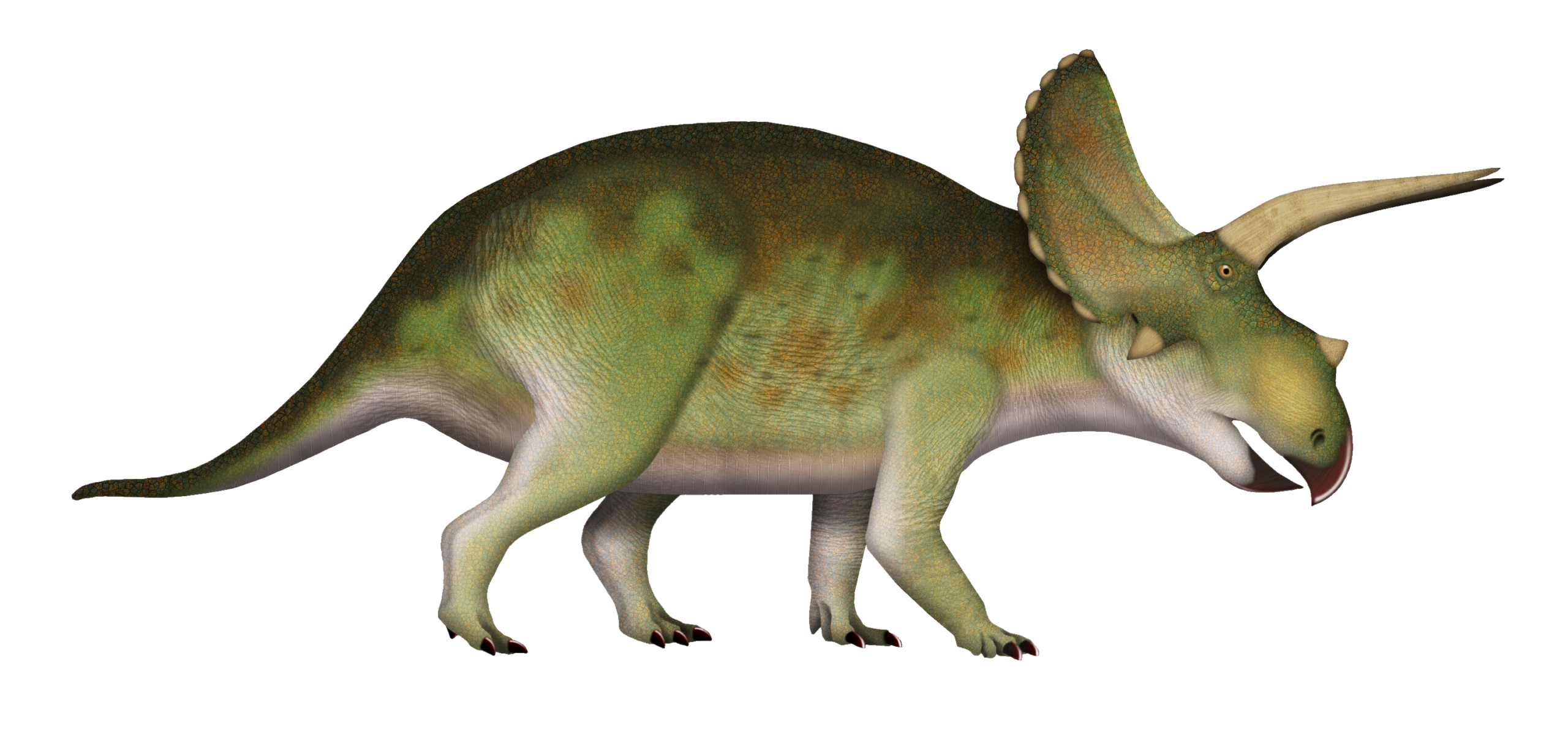 Why Eotriceratops Deserves More Fame
