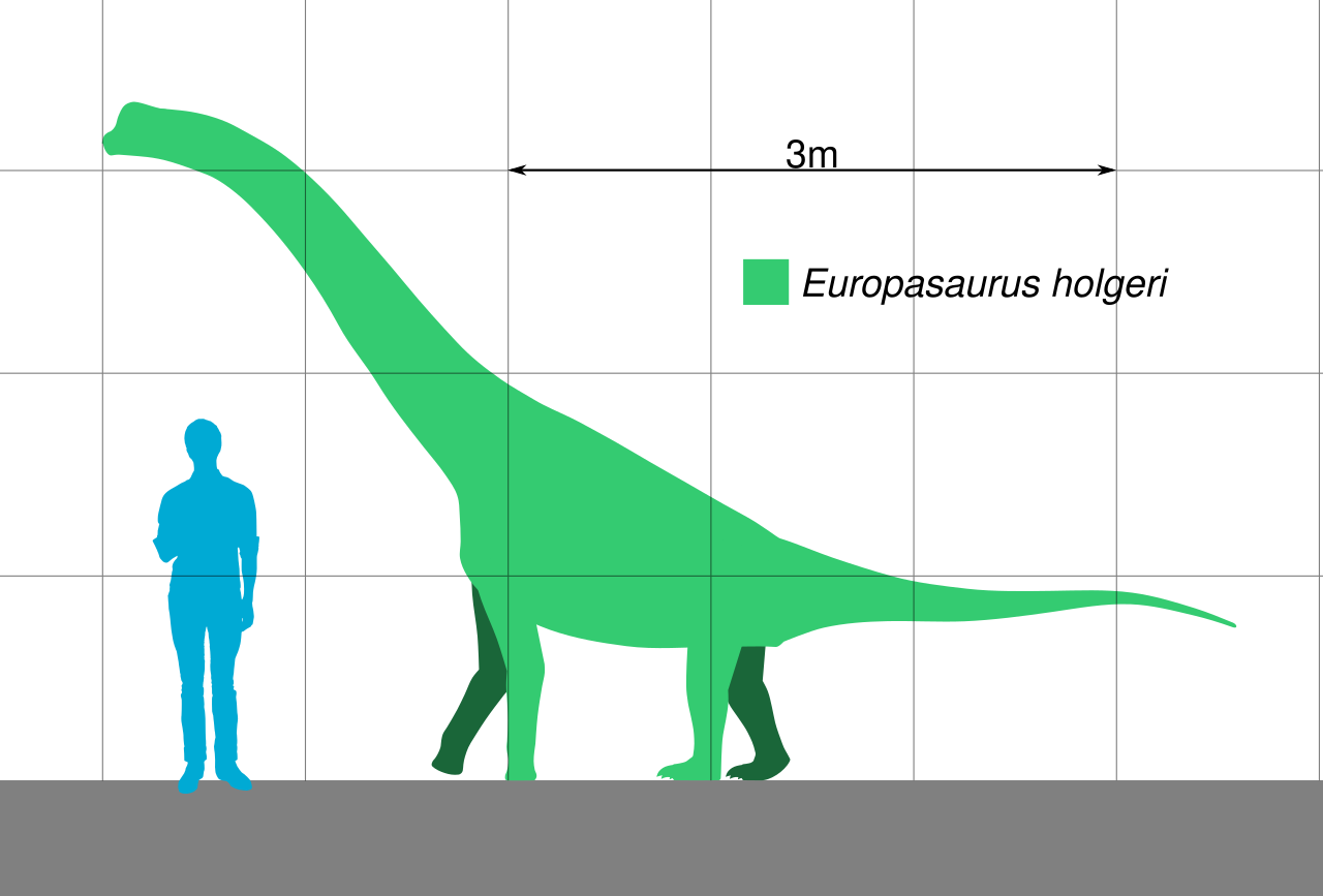 Sharing The Space: A Mini-Giant In A Crowded Island Ecosystem