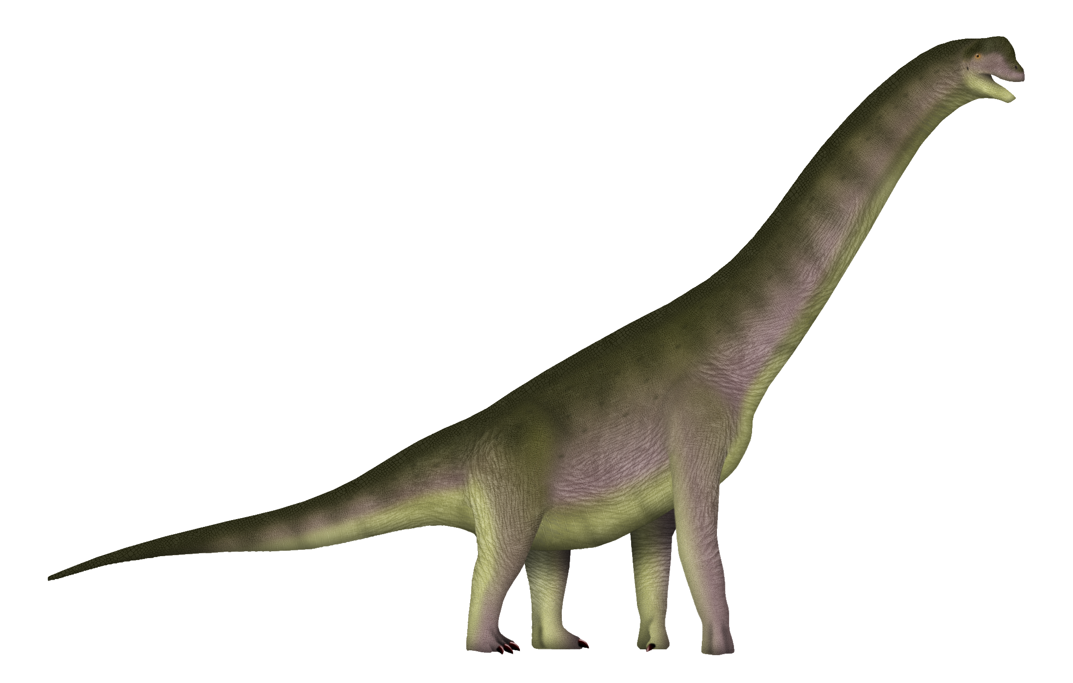 Proof That Even The “Giant Lineages” Were Experimenting