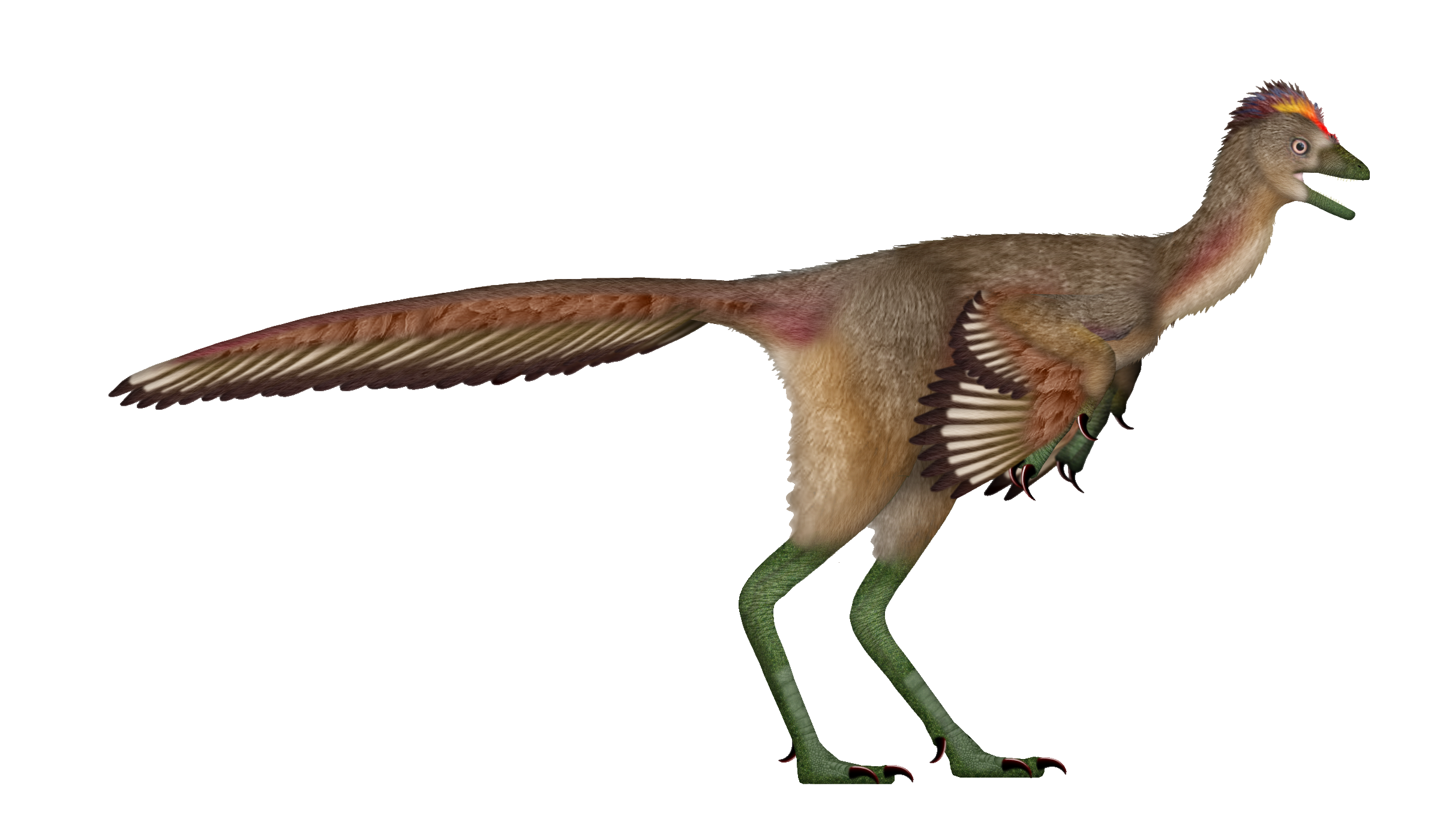 4. Fujianvenator prodigiosus: The “Weird” Near‑Bird That Bends the Rules 