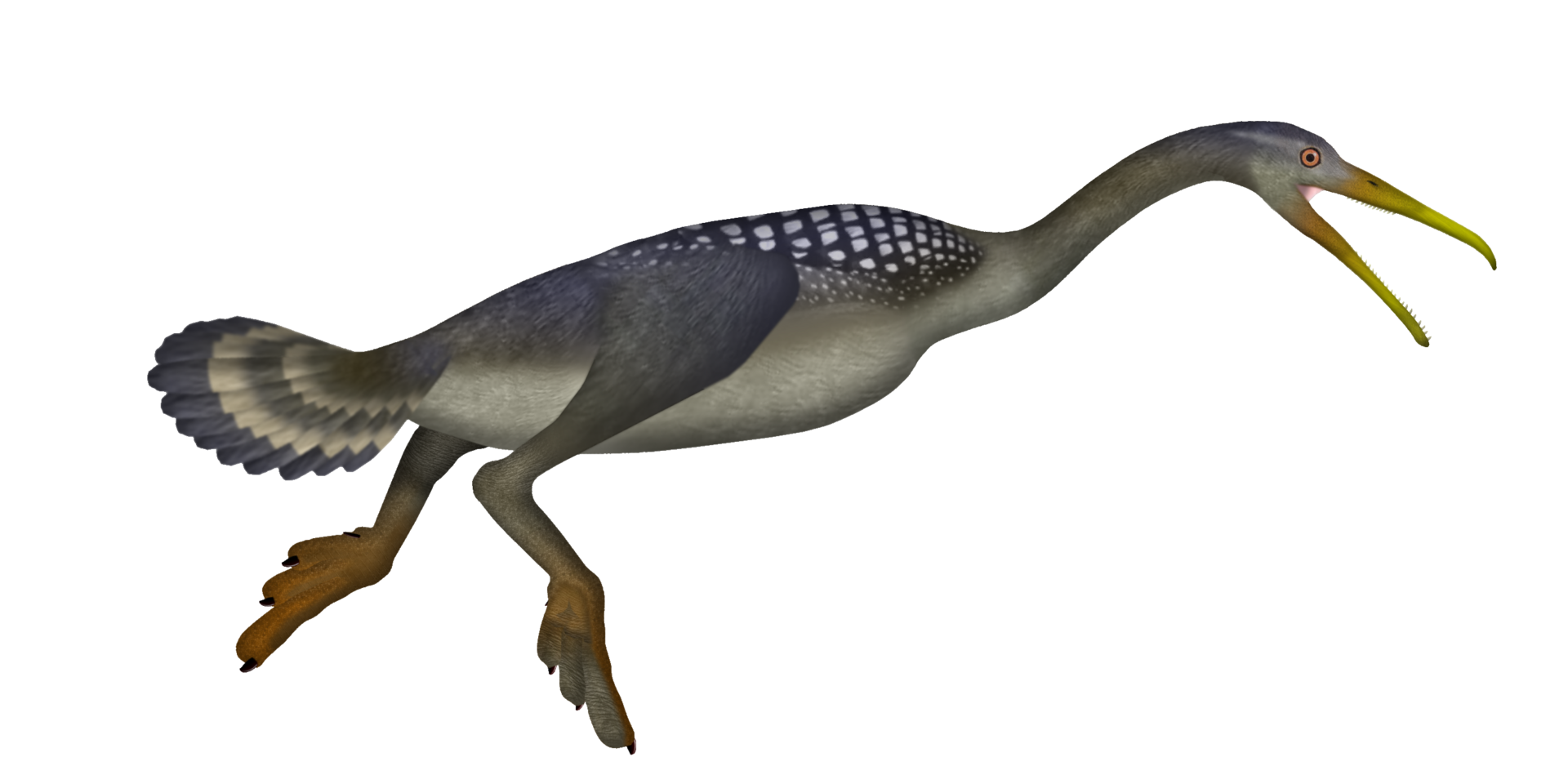 8. Hesperornis: The Tooth-Billed Diving Bird