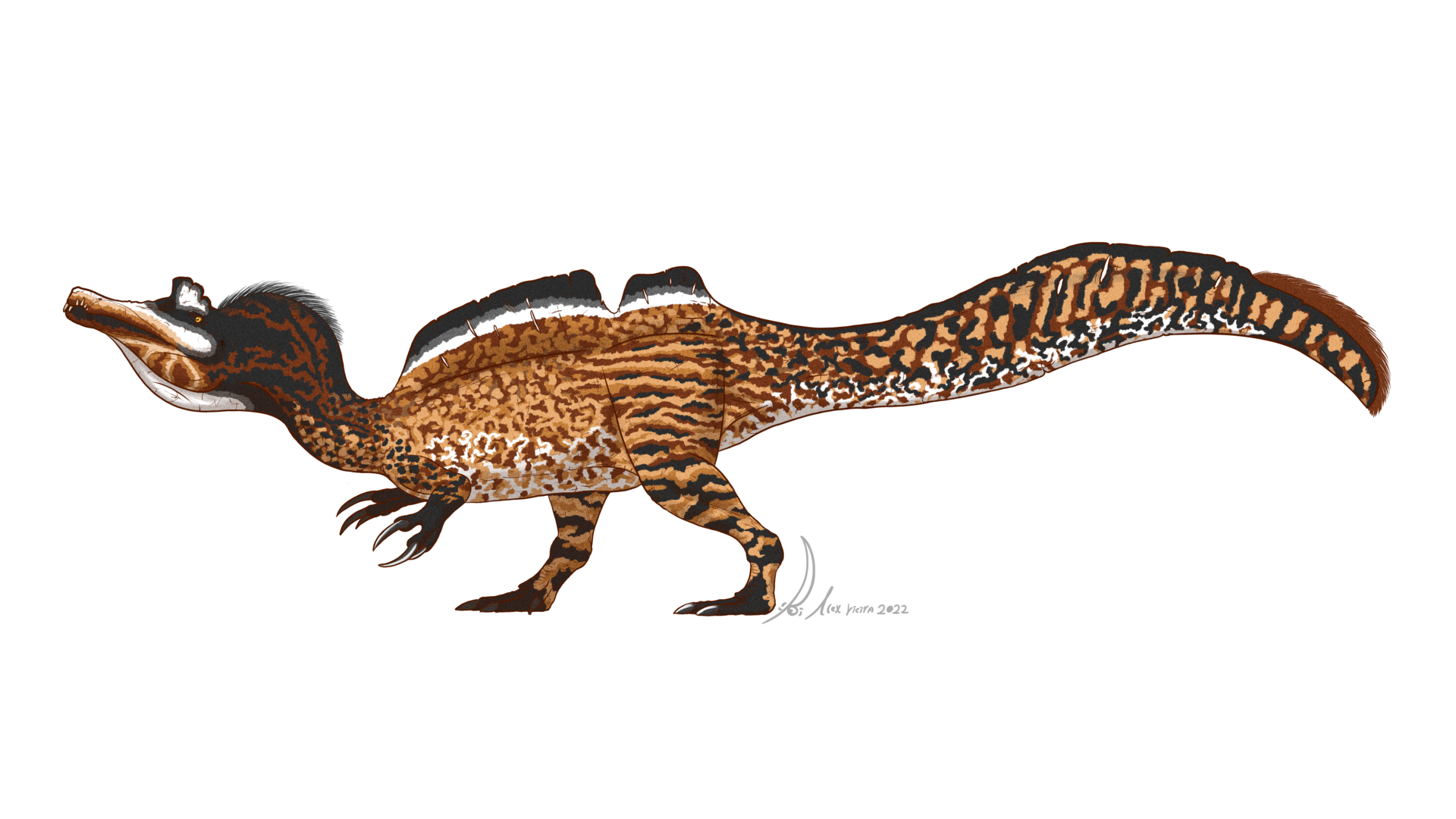 9. A Thai Spinosaurid and the Global Spread of River-Stalking Predators