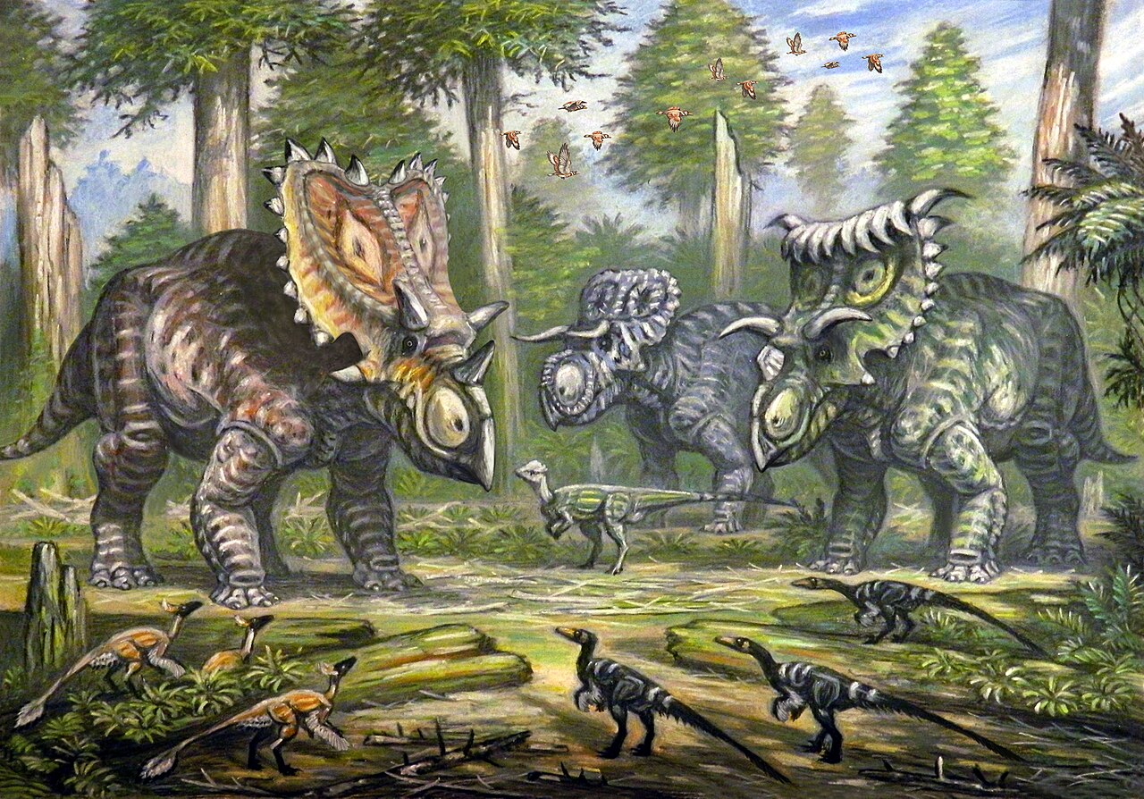 The Environment That Shaped Kosmoceratops’ Strange Head