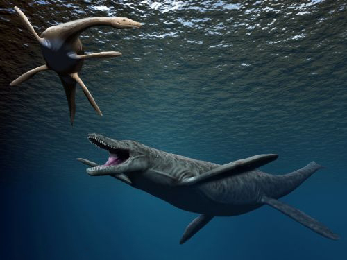 Life In The Cretaceous Seas: Where Kronosaurus Ruled