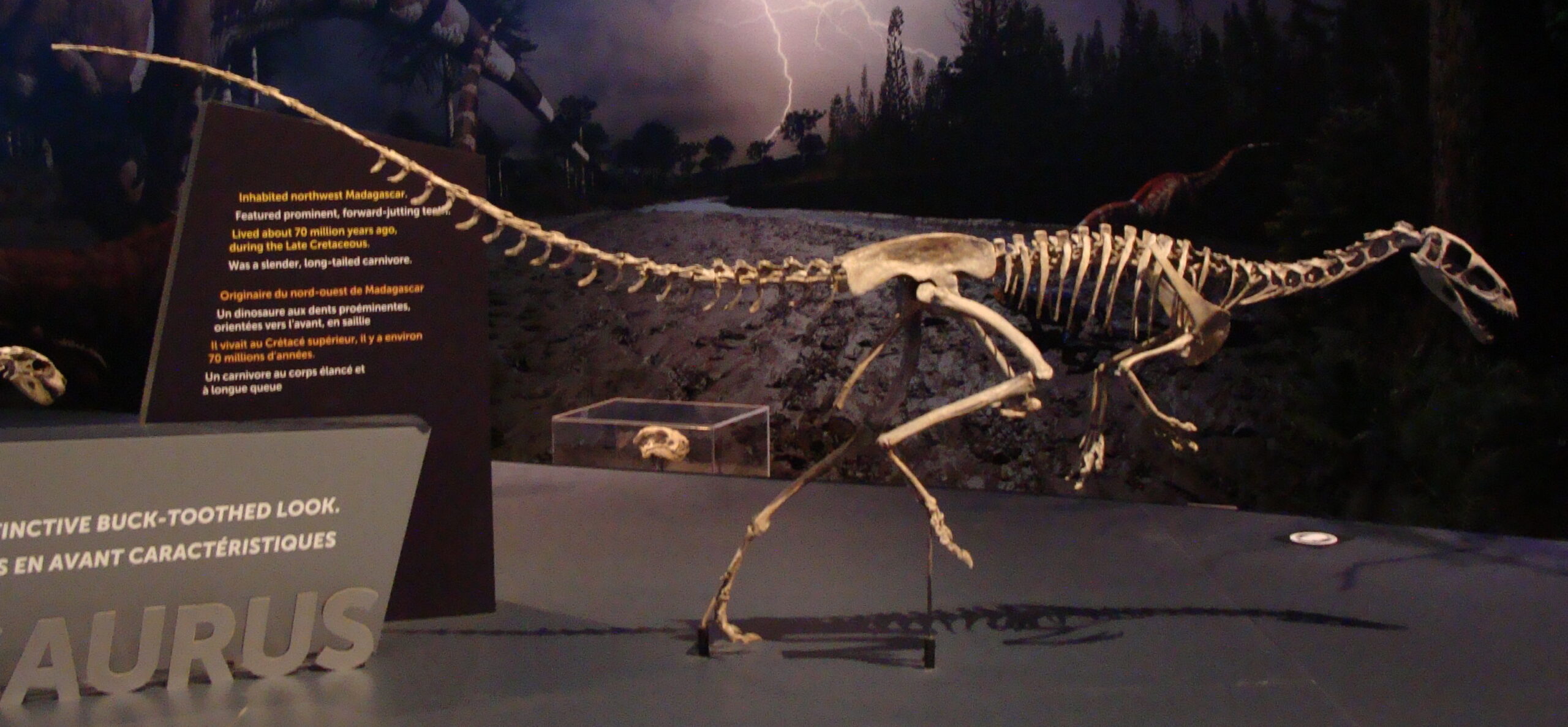Why It Was Not Just A Deformed Or “Failed” Dinosaur