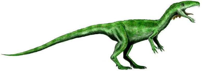 What Its Teeth Reveal About Dinosaur Diversity And Evolution