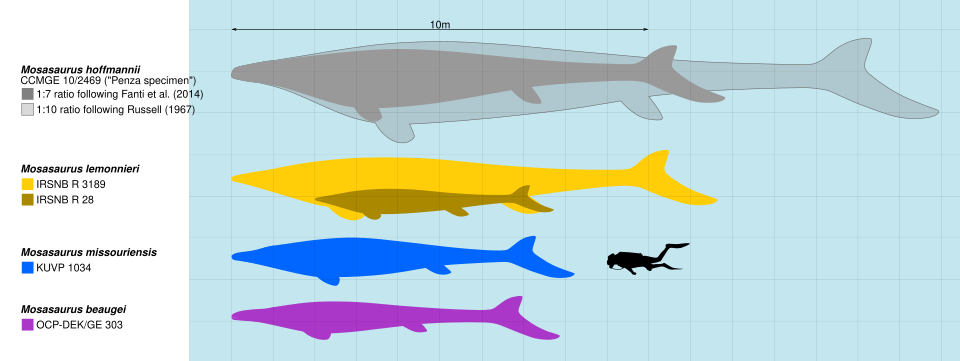 Conclusion: The Ocean’s True Heavyweights Are Gone, But Not Forgotten
