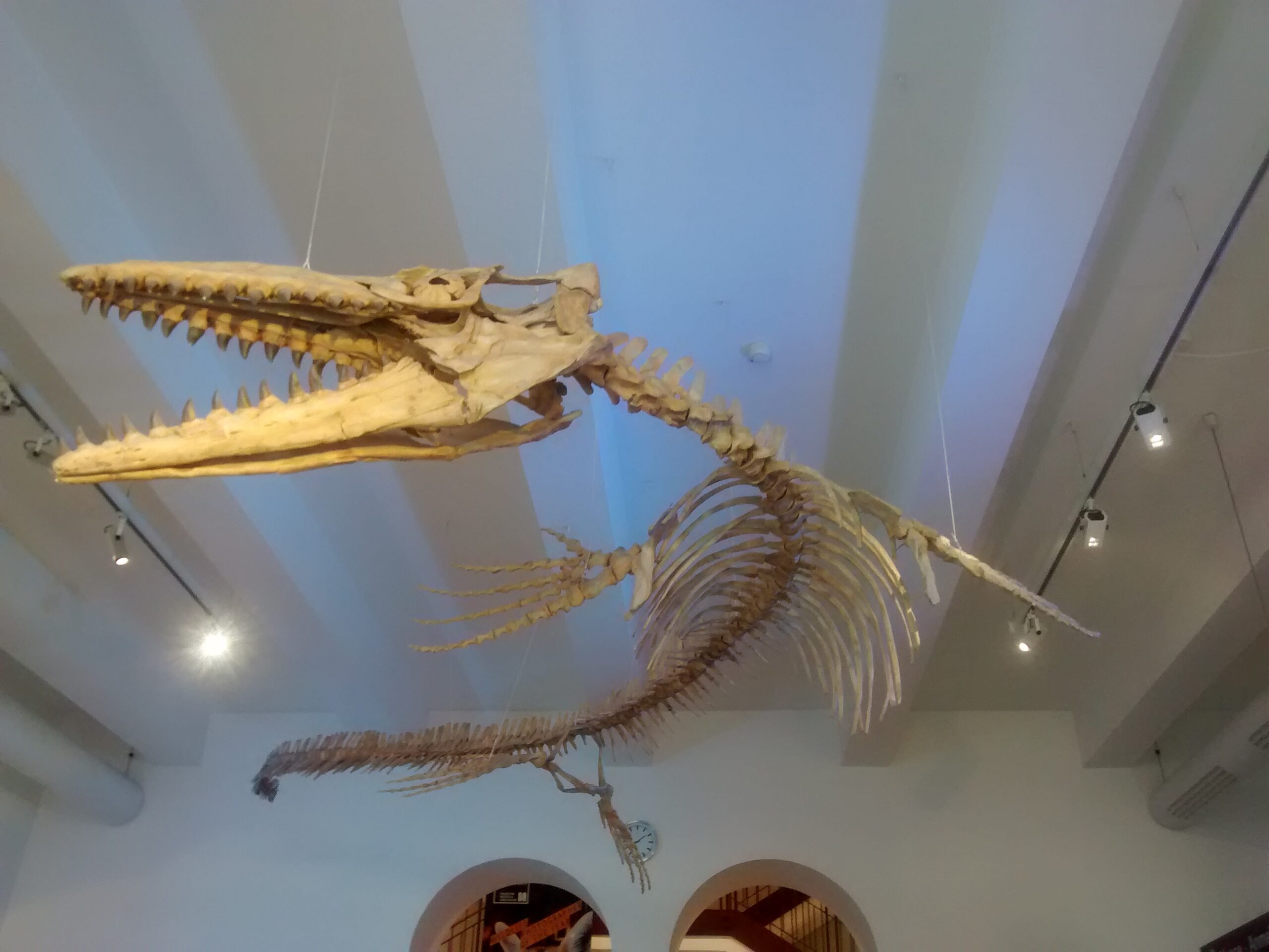 Extinction, Legacy, and What Makes Them Haunting Today