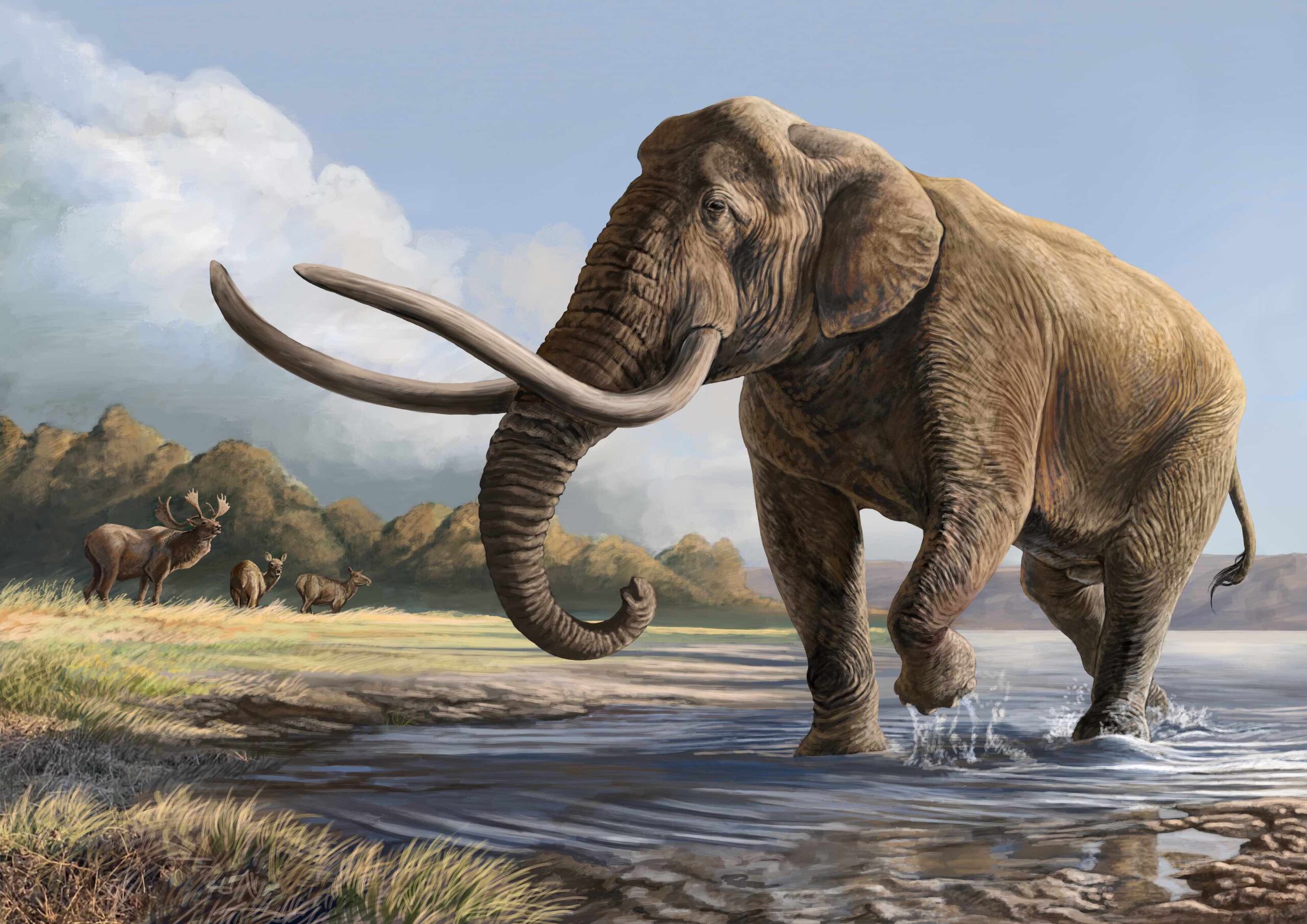 Palaeoloxodon: The Straight-Tusked Giant That Dwarfed Modern Elephants