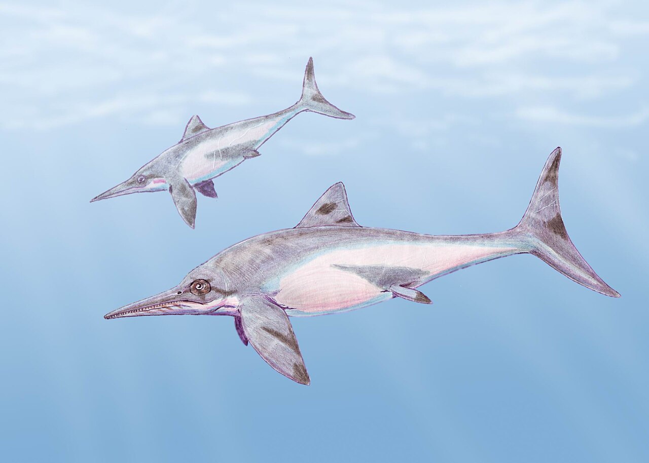 Social Seas: Traveling, Hunting, And Raising Young 