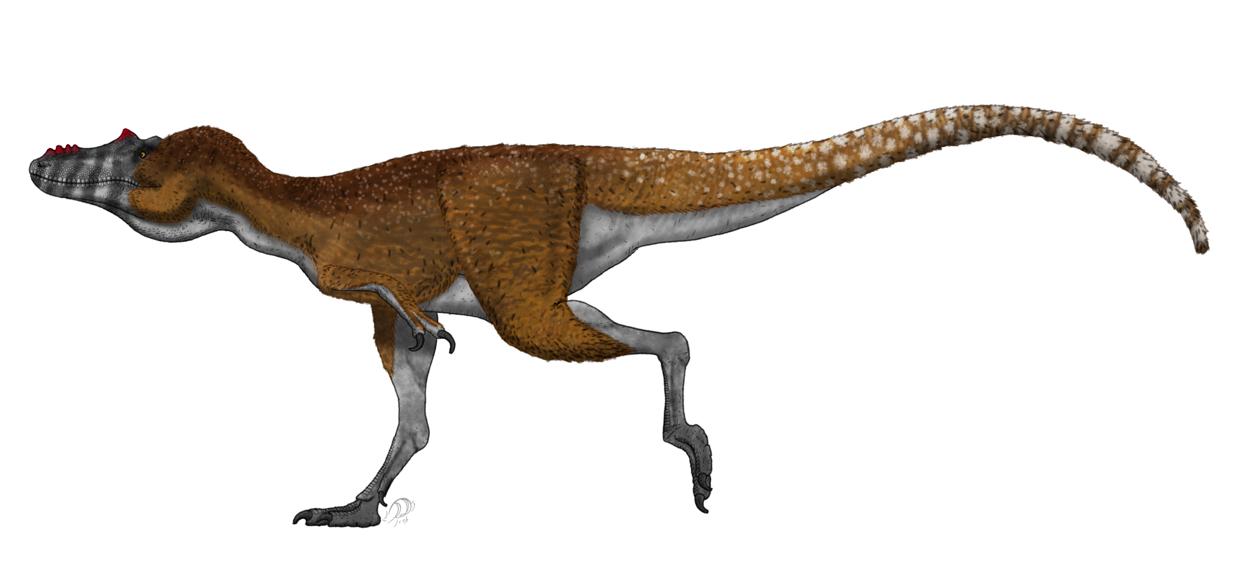 4. Qianzhousaurus: The Long-Snouted “Pinocchio Rex”