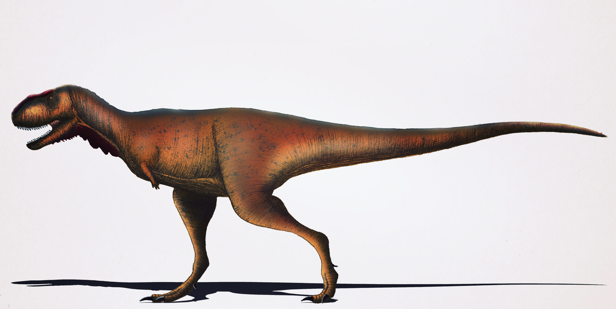 Why This Dinosaur Still Feels Like an Outsider