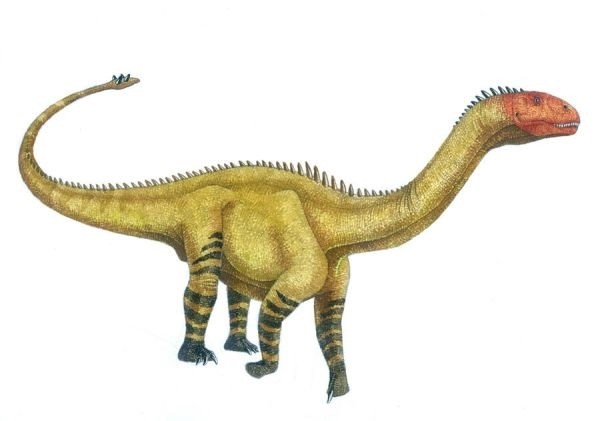 The Tail Club: A Built‑In Jurassic Morning Star