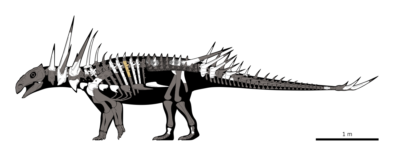 #12 - Africa's First Ankylosaur Arrived With Spikes Nobody Had Seen Before
