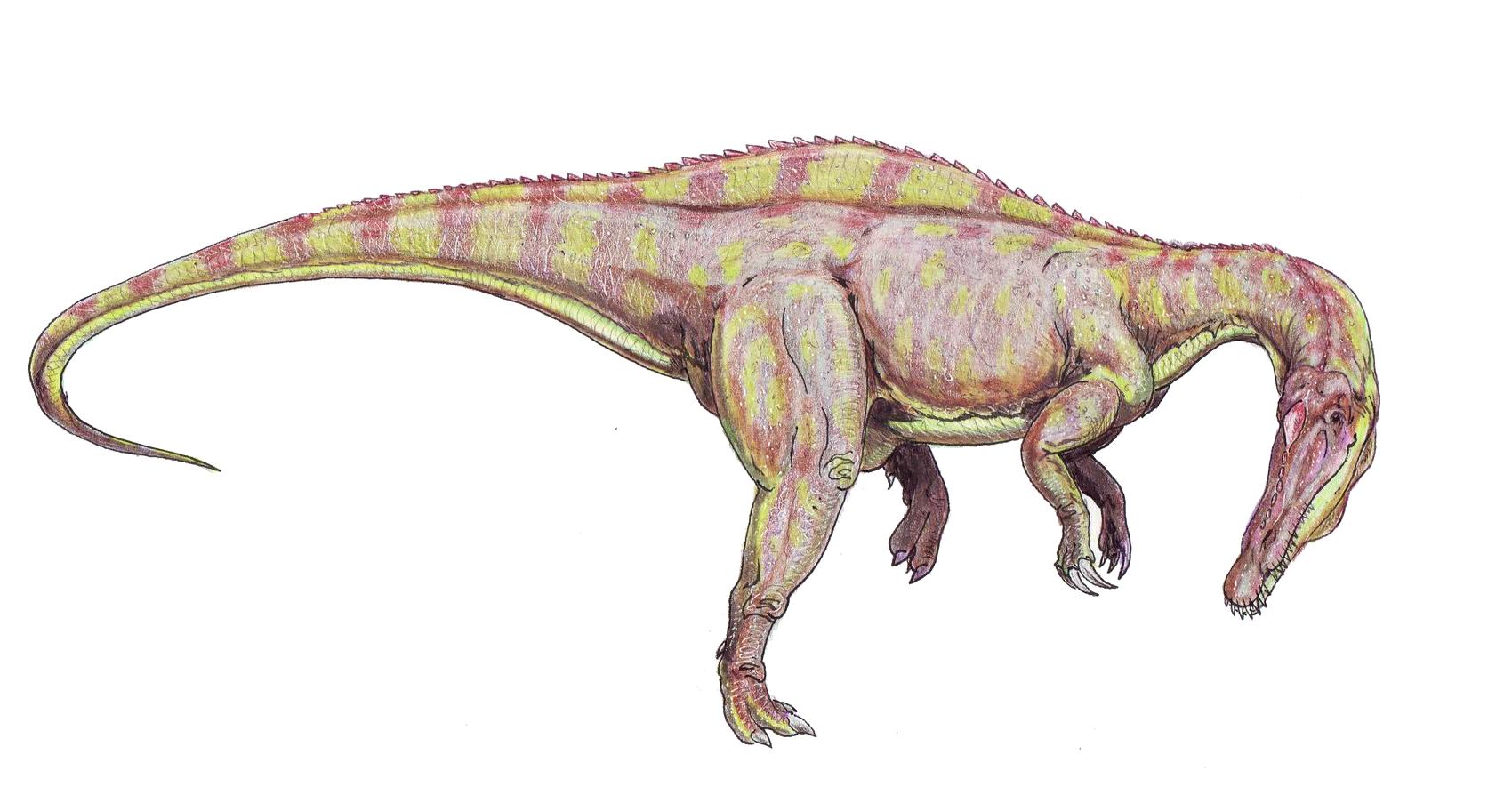 8. Its Discovery Helped Fill A Giant Gap In The Dinosaur Family Tree