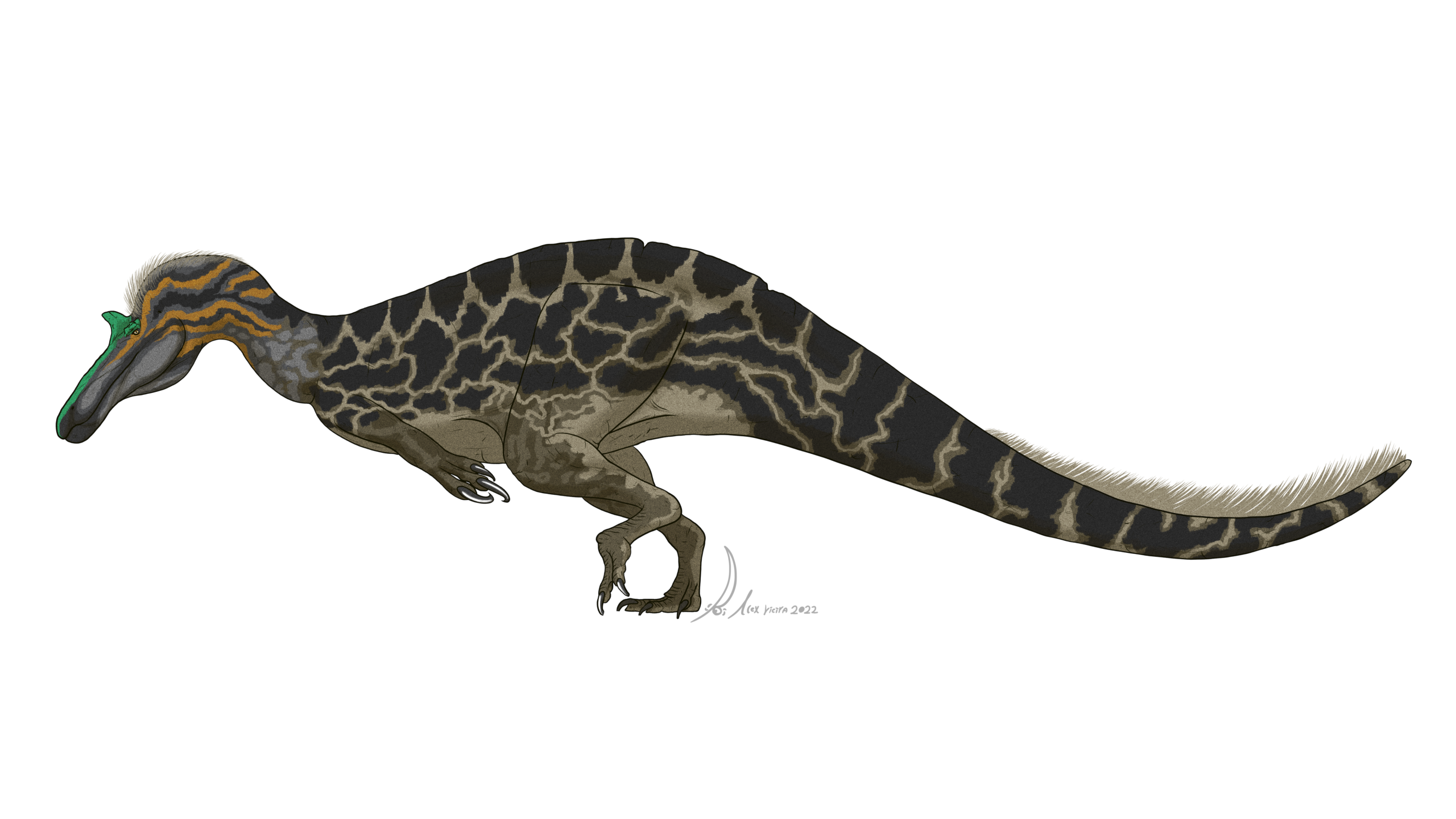 Conclusion: A River Monster That Rewrites What A Dinosaur Can Be