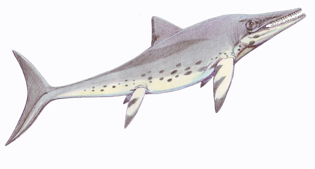 Did You Know Temnodontosaurus Was One of the Largest Hunters Ever to Live?