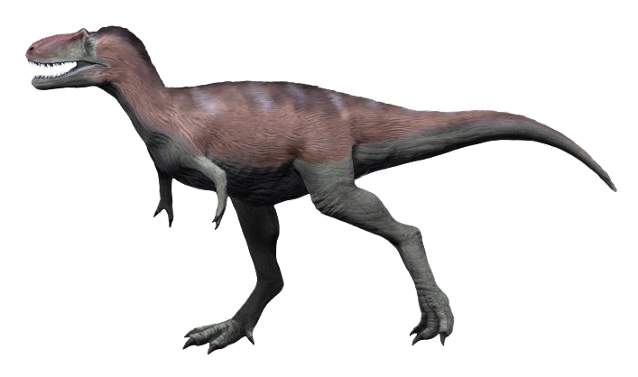 #11 - Teratophoneus curriei: The Compact Bone-Crusher