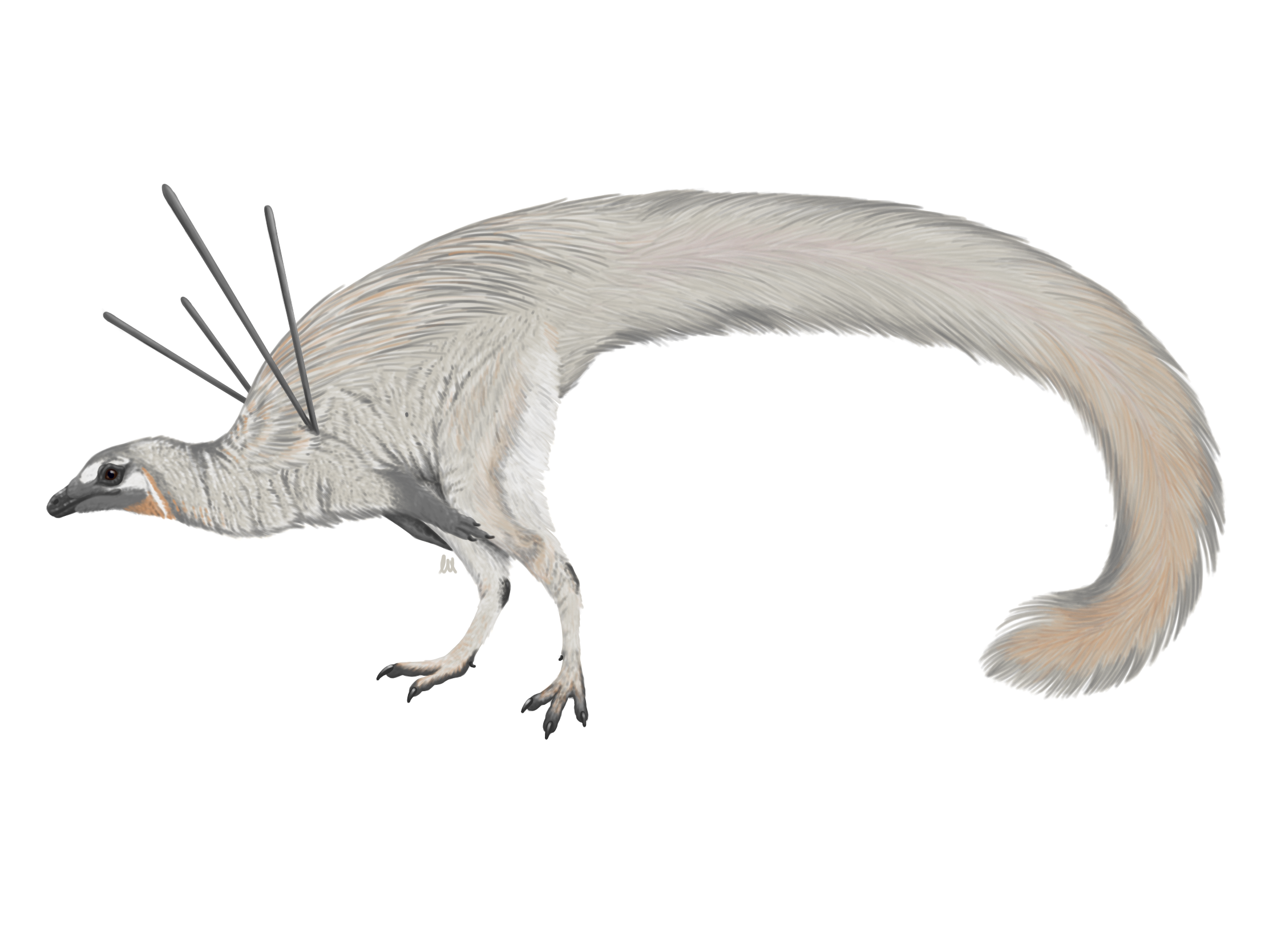 Ubirajara jubatus: The Punk-Rocked Show-Off With Shoulder Spears