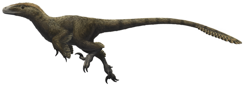8 Surprising Facts About Utahraptor, the Giant Cousin of Velociraptor