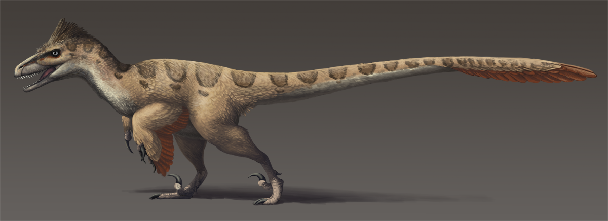 1. Utahraptor Was Massive Compared To The “Movie” Velociraptor