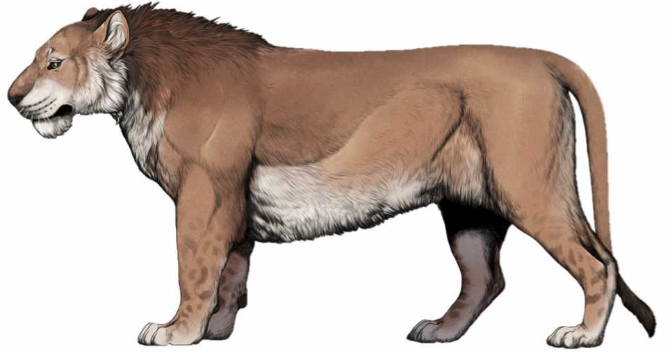 Leo: The Cave Lion and the Language of Devoted Spotlight