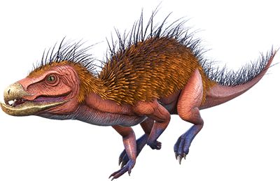 The Porcupine-Like Bristles: Armor, Display, or Both?
