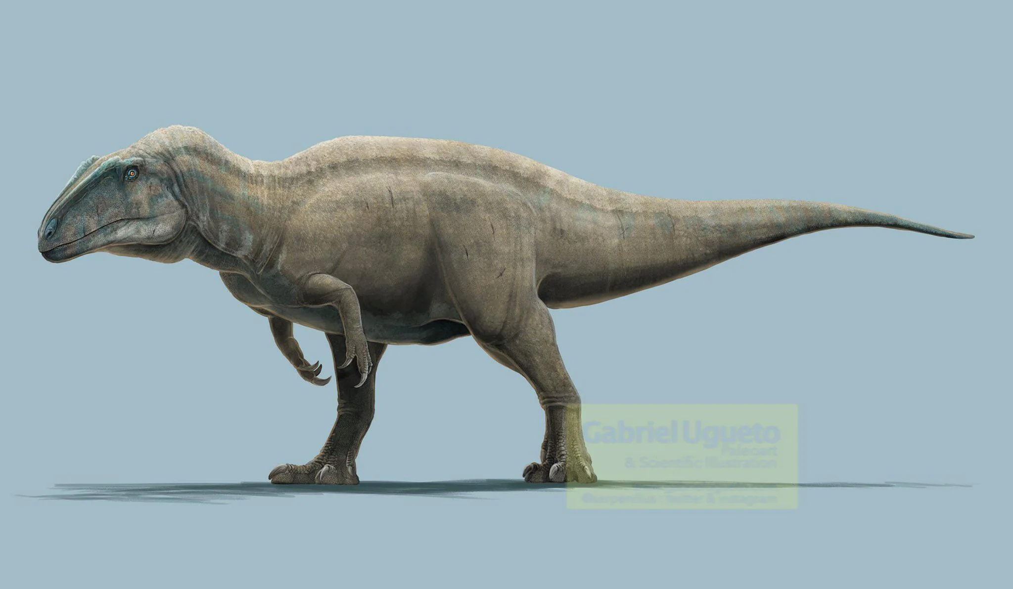 #3 – Acrocanthosaurus: The High-Spined Texas Predator