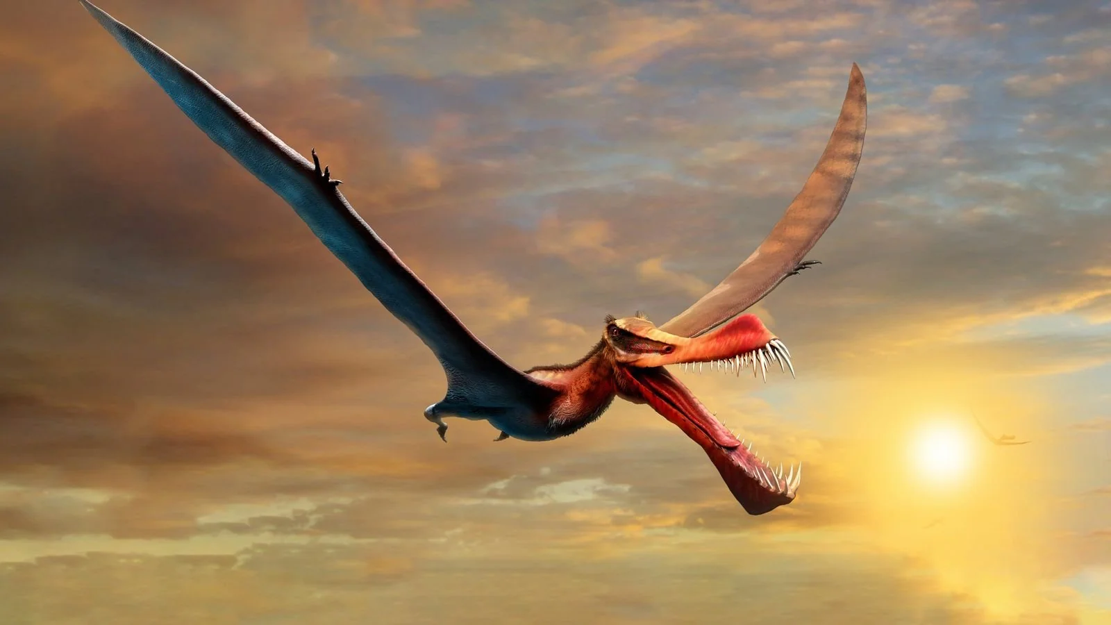 #4 – Thapunngaka shawi: Australia's Sky Apex That Nobody Saw Coming