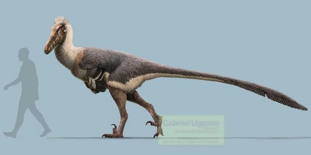 Why Austroraptor Deserves More Fame Than It Gets