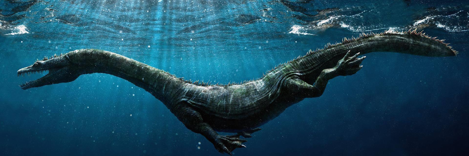 Living in the Triassic: A World Still Recovering
