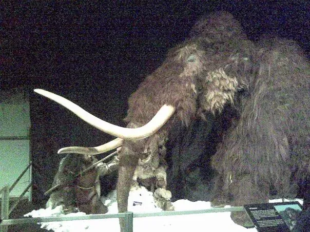9 Myths About the Woolly Mammoth That Hollywood and Pop Culture Refuse to Let Die