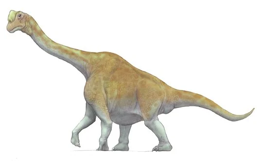 A Reminder That Evolution Is Not Obsessed With Size